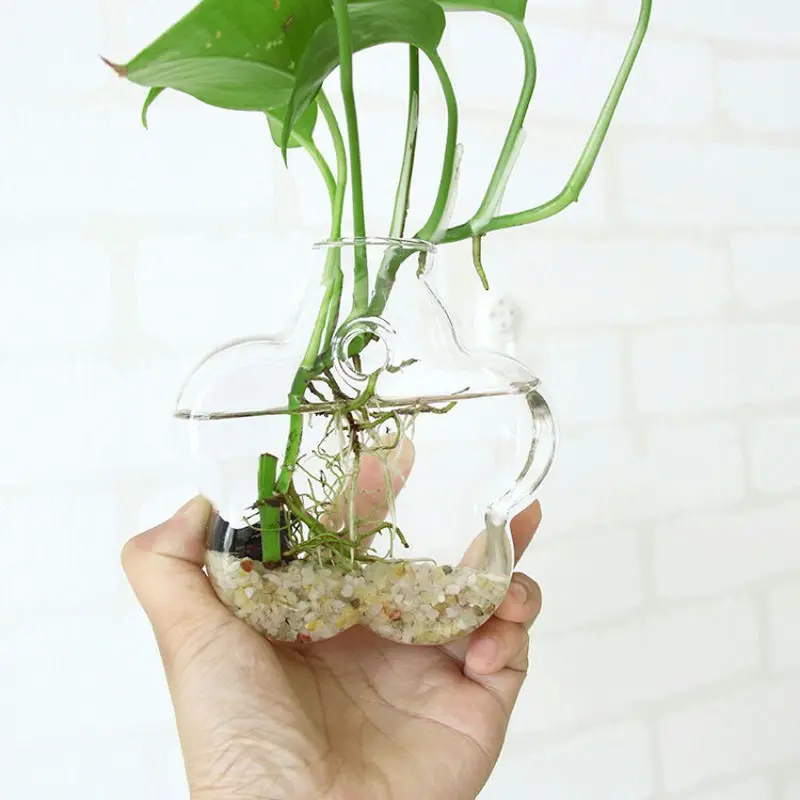 Online Get Round Clear Gl Vases Aliexpress Com Alibaba 17 Whimsical Themed Terrarium Decorations