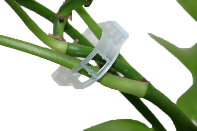 50pcs Plastic Sticks Tied Bangwan Clip Clip Hanging Vine Vines Fixing Tools Help Plant Flowers And Vegetables Fixed Accessories
