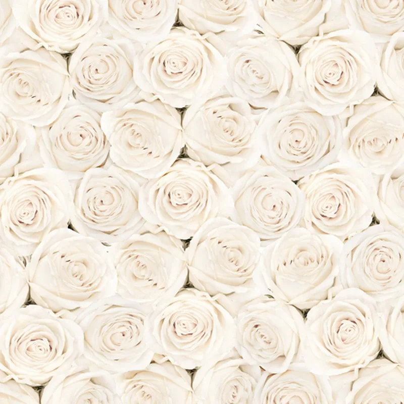 

white flower roses wedding photography backdrop studio valentine's photography backdrops studio wedding background D-1804
