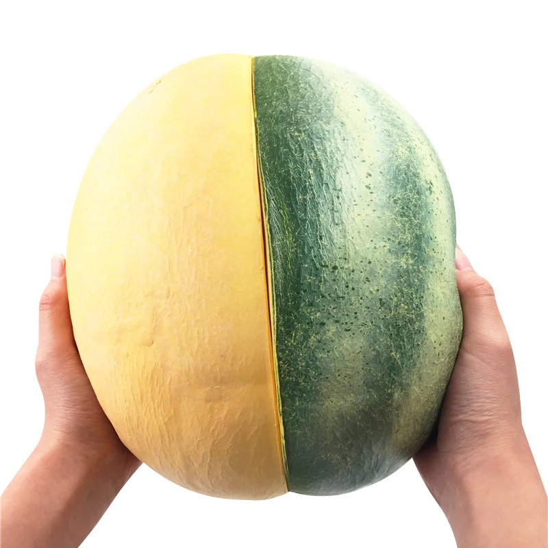 cantaloup squishy (4)
