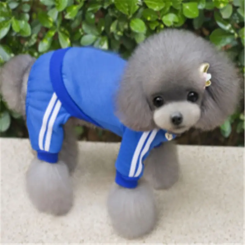 

Warm Pet Dog Coat Clothes chihuahua dog clothes Hoodie Sweater For Small Medium chihuahua pet dog clothes