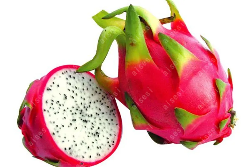 100 Pcs Red Flesh Dragon fruit Bonsai Nutrition And Delicious Succulent Fruit Bonsai Vegetable Bonsai Plant Easy To Grow 100 Pcs Red Flesh Dragon fruit Bonsai Nutrition And Delicious Succulent Fruit Bonsai Vegetable Bonsai Plant Easy To Grow