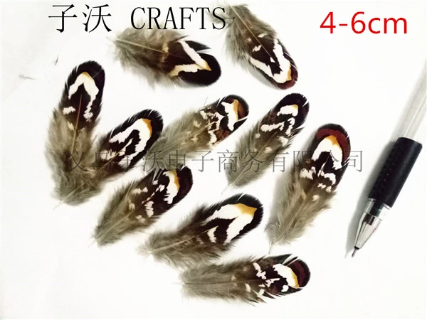 0942DBCE9BA56E3BA1528CCC0F5154ED_