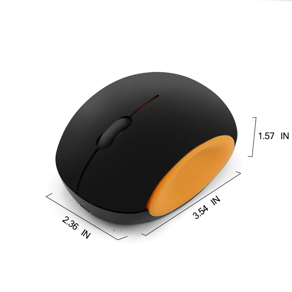computer mouse 