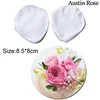 Large Austin Rose U
