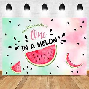 One In A Melon Birthday Party Backdrop Watermelon Party 1st Birthday Background Summer Pink Melon Party Decoration Backdrops