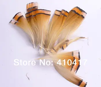 

500pcs/lot Natural Stripes Pheasant Feathers 5-7cm Plumes For Decration Hair Extension Free Shipping