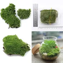 Вечерние украшения для дома, искусственные растения с зеленым Мохом, миниатюрные искусственные растения