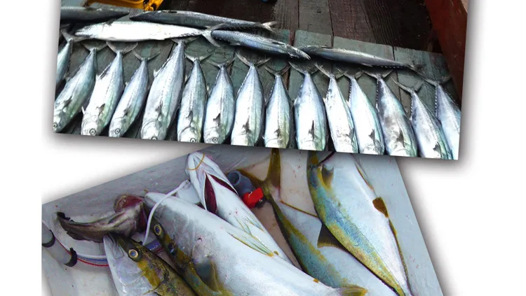 SFT Супер новая приманка для рыбалки, приманка для гольяна Takumi 95 мм/40 г, погруженная в воду, приманка для ловли окуня