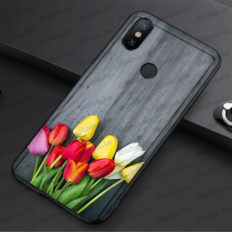 tulip flower 