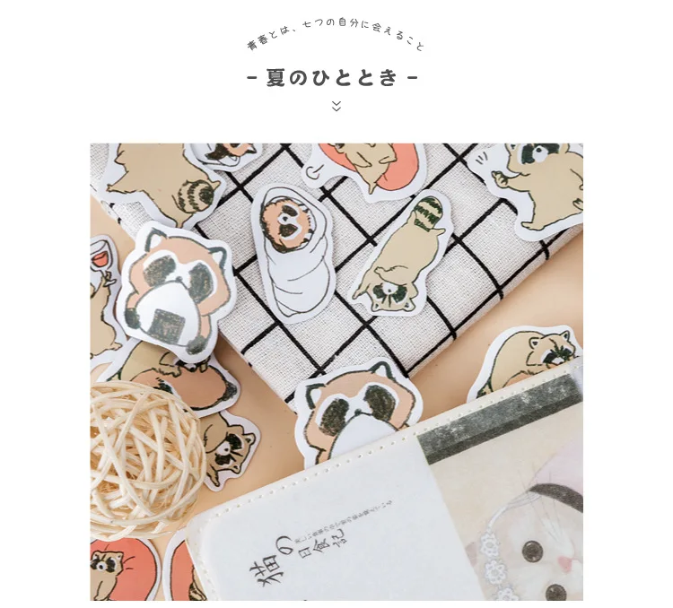 //cbu01.alicdn.com/img/ibank/2019/957/846/11185648759_1597187969.jpg