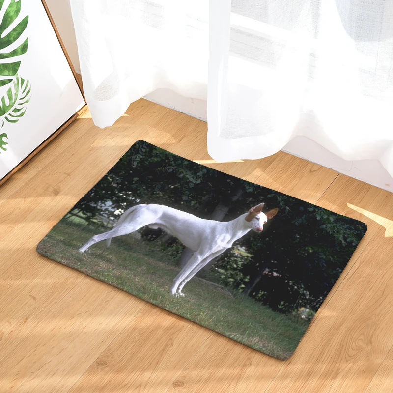New Home Decor Dogs Print Carpets Non slip Kitchen Rugs for Home Living