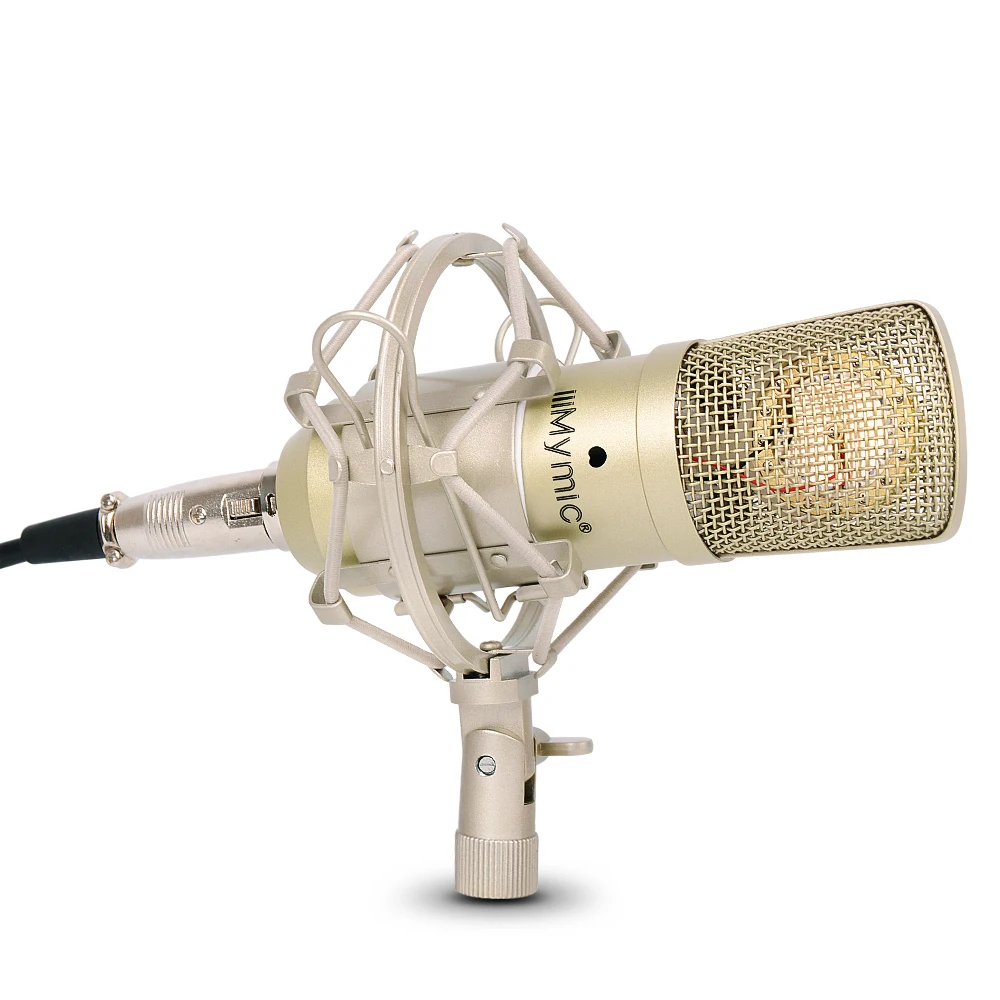 i-ONE Condenser Microphone !! 34mm Gold Diaphragms