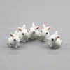 5pcs Mini Chick Rabbit Cow Sheep Animal Micro Fairy Garden Miniature/Terrarium/Succulent Decoration Ornaments DIY Accessories ► Photo 2/6