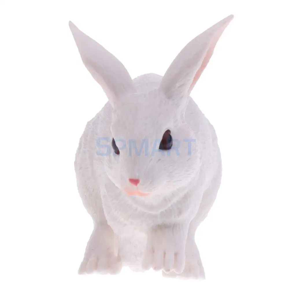 Simulation Wildlife Farm Pet Animal Model Action Figures Figurine Kid Educational Science Nature Toy Home Collectible Decoration
