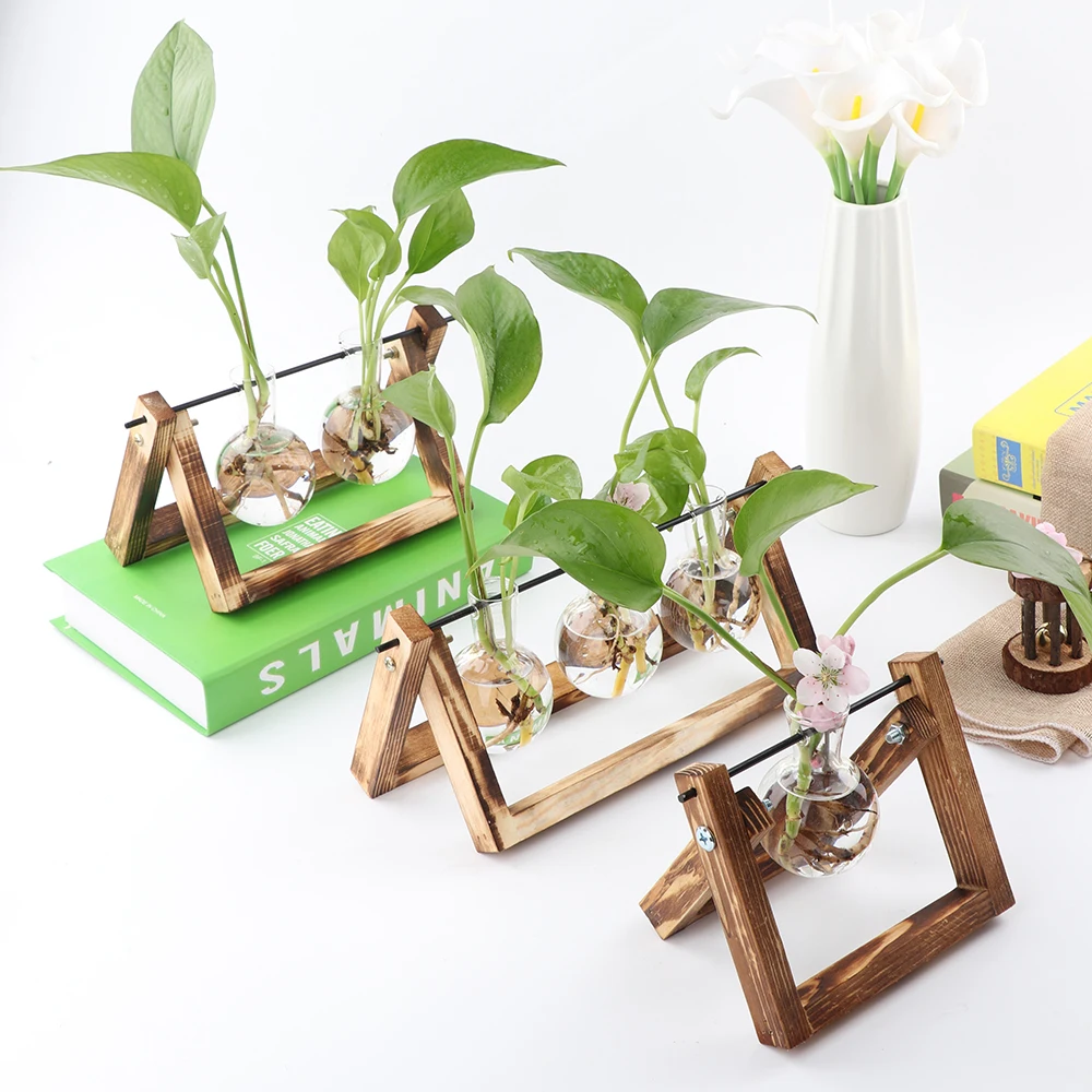

Creative Hydroponic Plant Transparent Vase with Wooden Frame for Home Decoration Glass Tabletop Plant Bonsai Decor Ornaments
