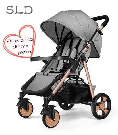 pram to take on plane