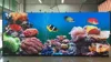 Optoelectronic Displays