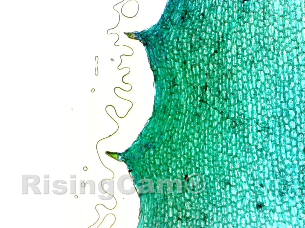 20190523-132255-561