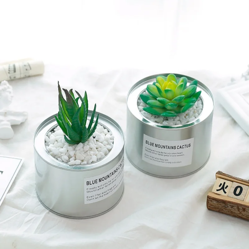 

Nordic Fresh Simulation Succulent Decoration Micro Landscape Plastic Flower Arrangement Fashion New Potted Plants PY
