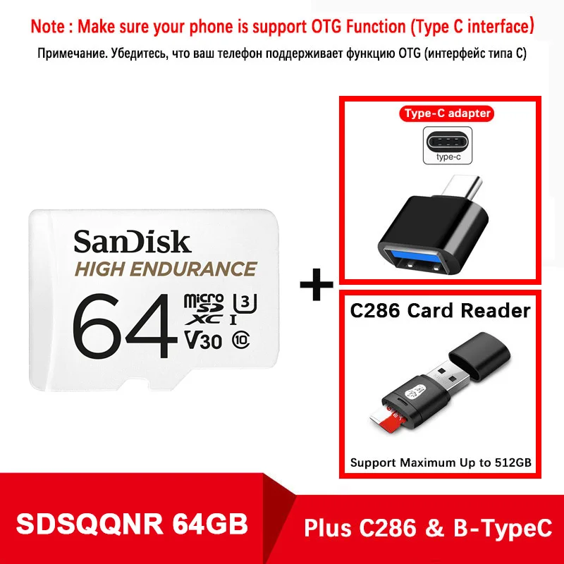 SanDisk карта памяти MicroSD карта памяти высокая выносливость MicroSD 32 Гб 64 Гб 128 ГБ до 100 м/с TF карта C10 U3 V30 Cartao De Memoria флешка - Емкость: SQQNR-64G-C286-TypeC