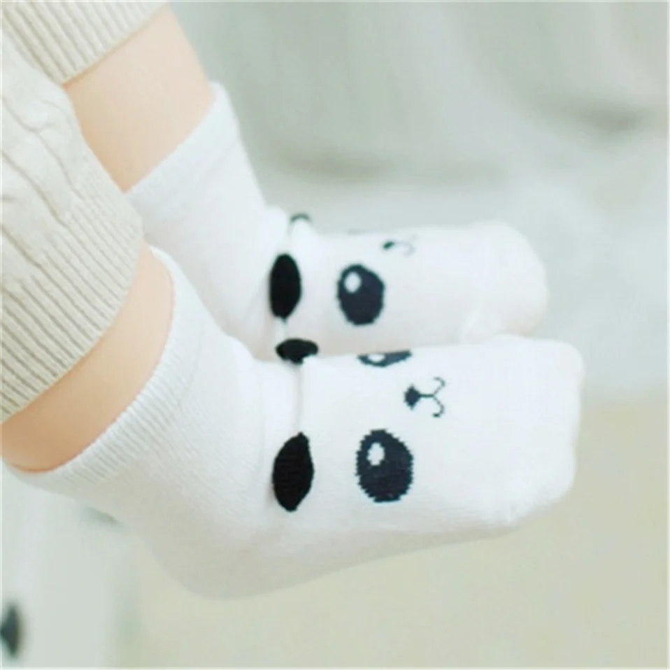 3648950213_1278729890.400x400