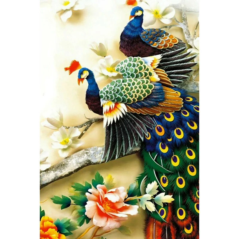 Peacock 3