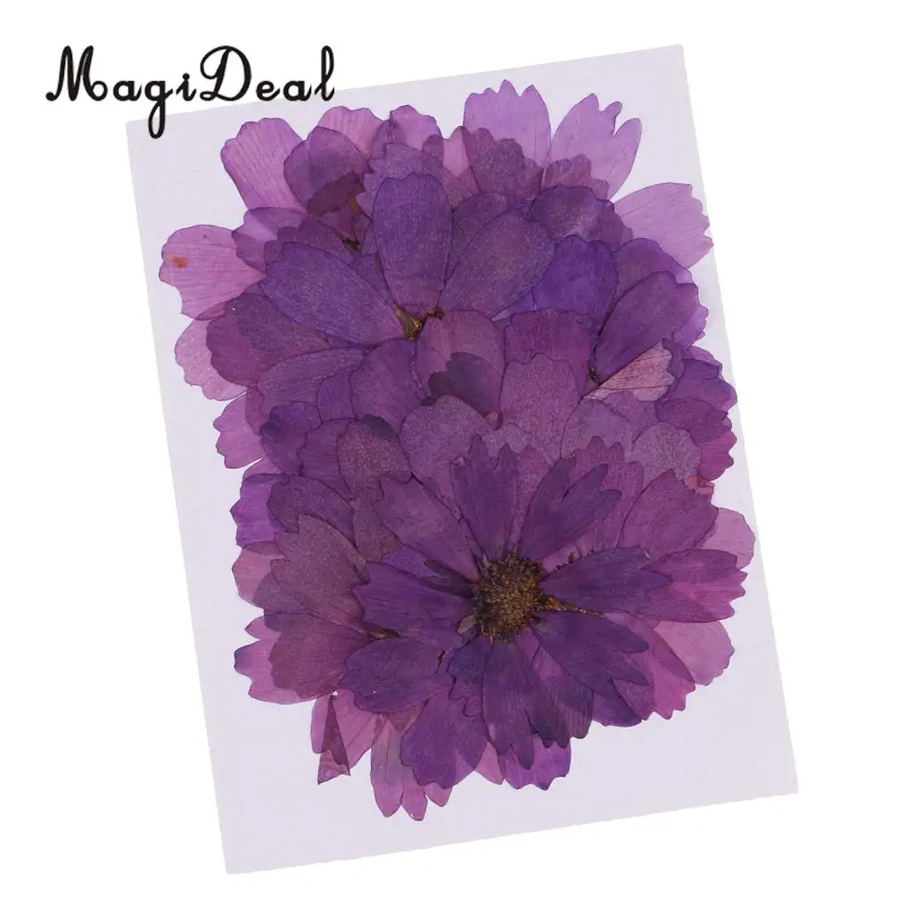 

20pcs Pressed Real Dried Flower Purple Coreopsis Jewelry Making Accessories for Candle Making DIY Craft Resin Casting Ornament