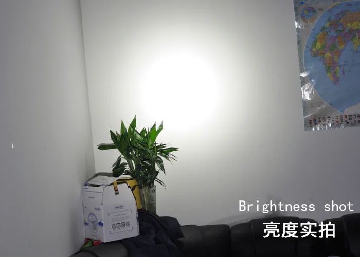 23.1