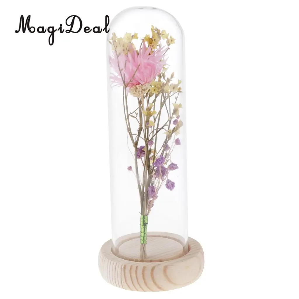 Clear Glass Display Cloche Bell Jar Dried Immortal Flower Preservation Vase Wooden Base Cafe Bar Countertop Decor Ornament