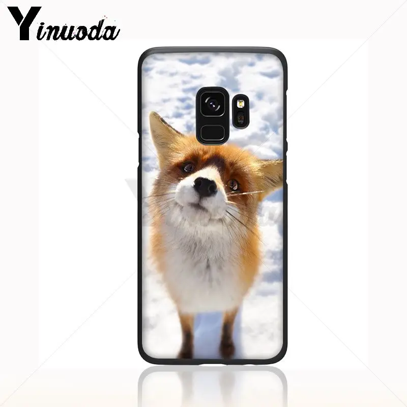 catoon cute lovely fox animal