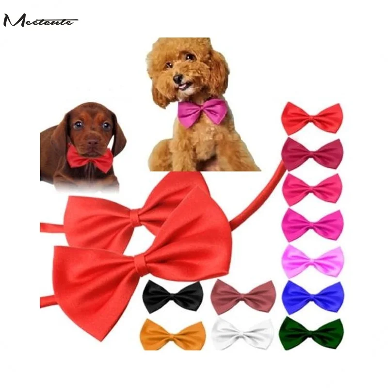 dogtie13