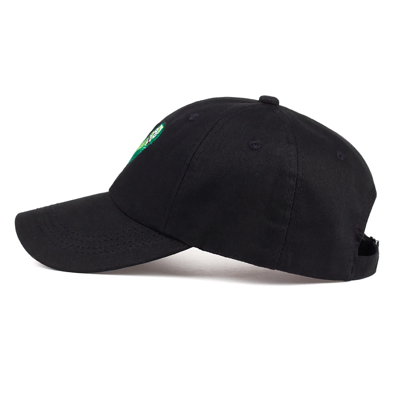 Новая хлопковая бейсболка для папы с вышивкой аниме США Snapback Whimsy головные уборы