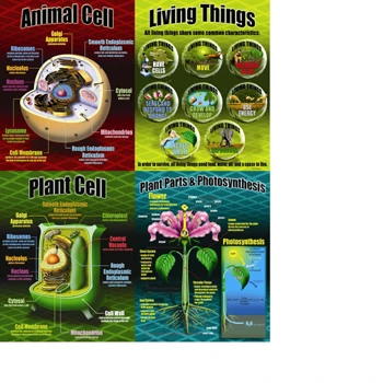 Mcdonald Publishing MC-P077 Life Science Teaching Poster Set (1)