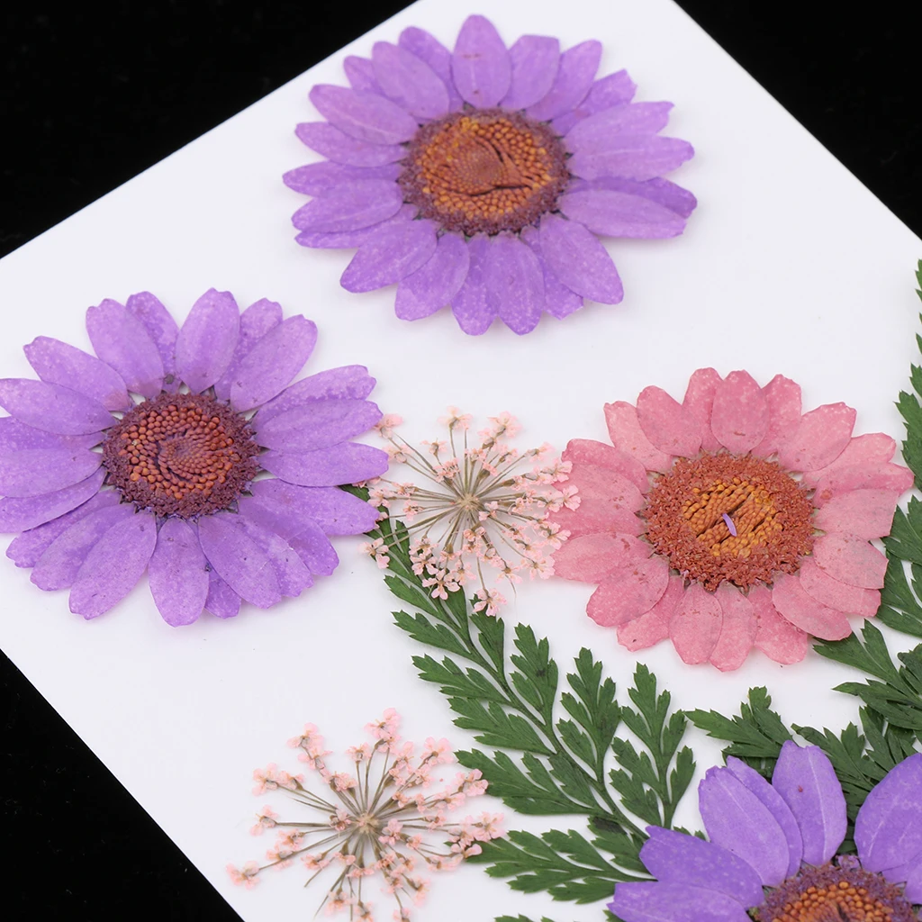 Natural Pressed Dried Flowers for Resin Molding Decors Jewelry Making Phone Case Decoration DIY Scarpbooking Supplies