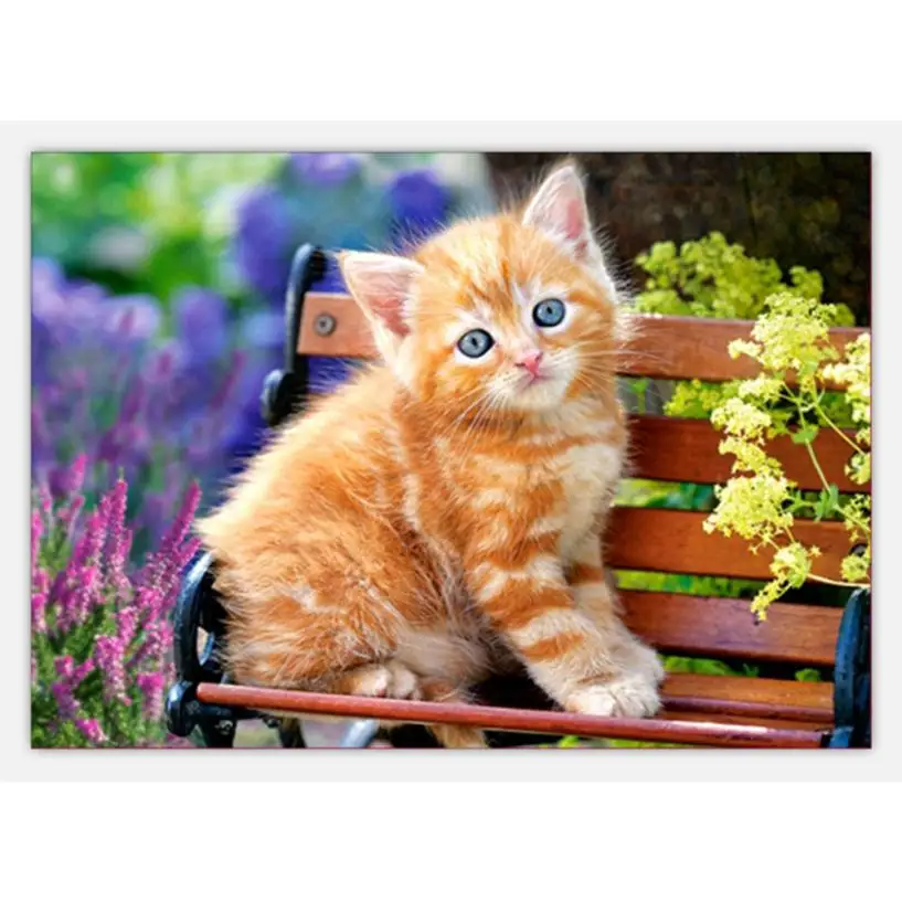 

Cute cat Diamond painting Crystal Drill 5D DIY Diamond Painting Embroidery Icon Religion Rhinestones Cross Stitch Gift Decor