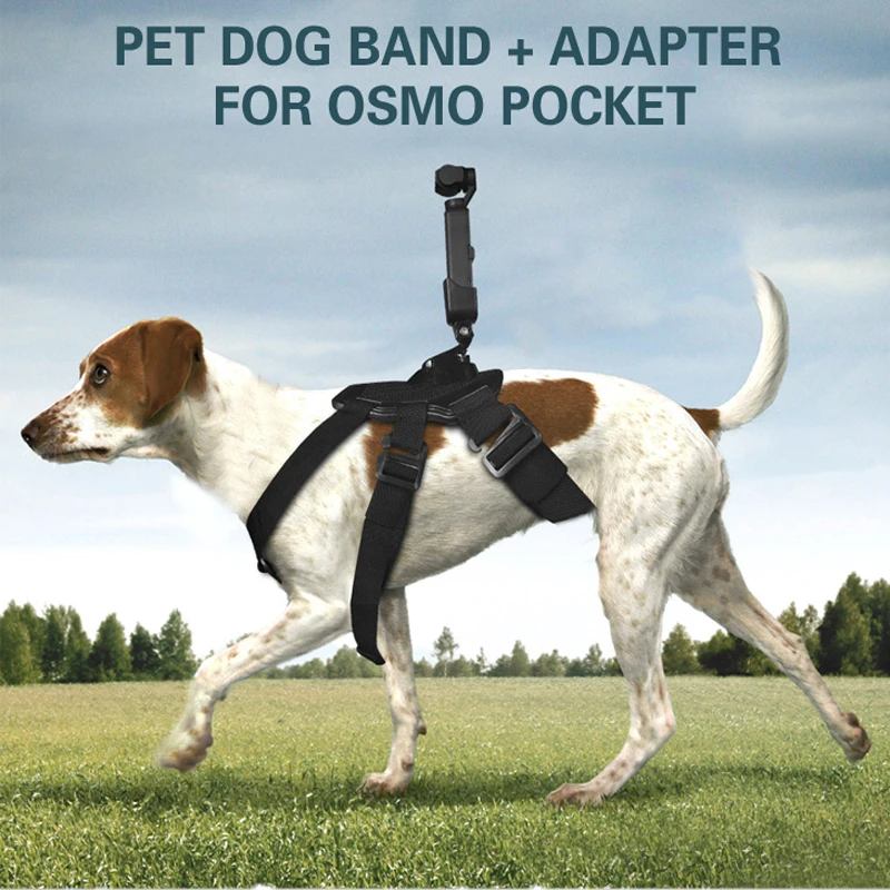 pet dog band Straps with J-Shape base for gopro hero camera dji Osmo Pocket camera Handheld gimbal Accessories 1 (19)