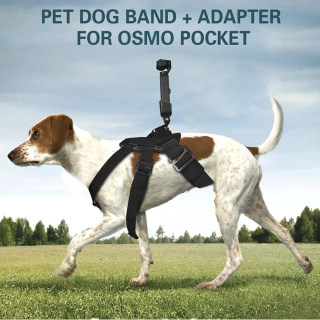 Dog Go Pro Adjustable Dog Harness For GoPro Chest/Back Mount For