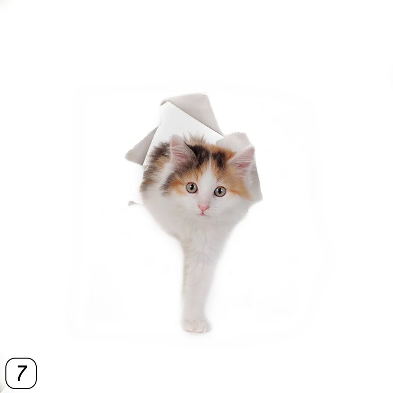 267554_no-logo_267554-2-07