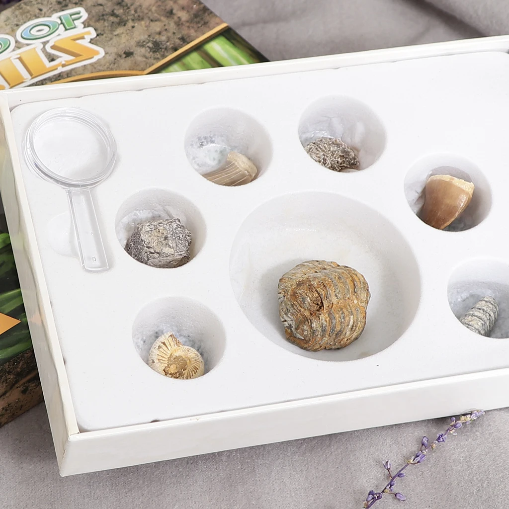 Rock & Mineral Collection PK664 Real Specimens Geology Science Kit Earth Science Toy - Pack of 7