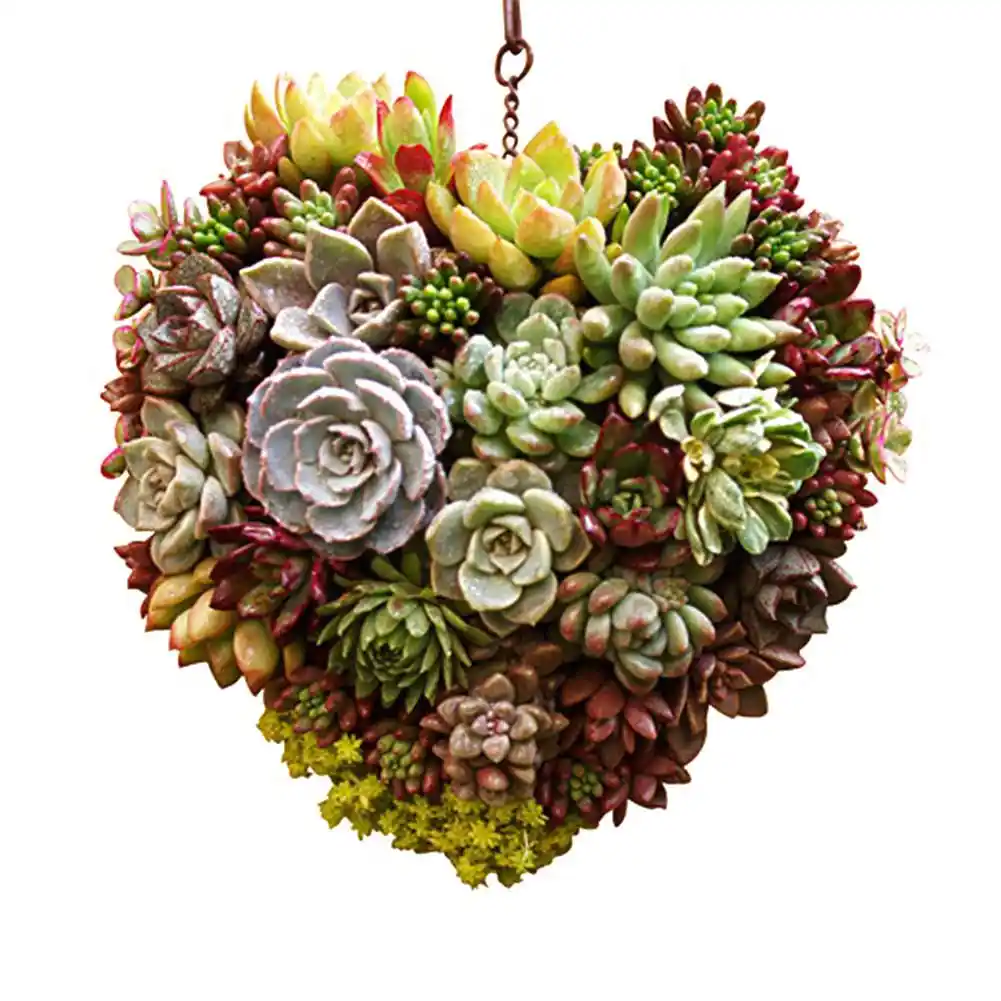 Heart Planter Pot Handmade