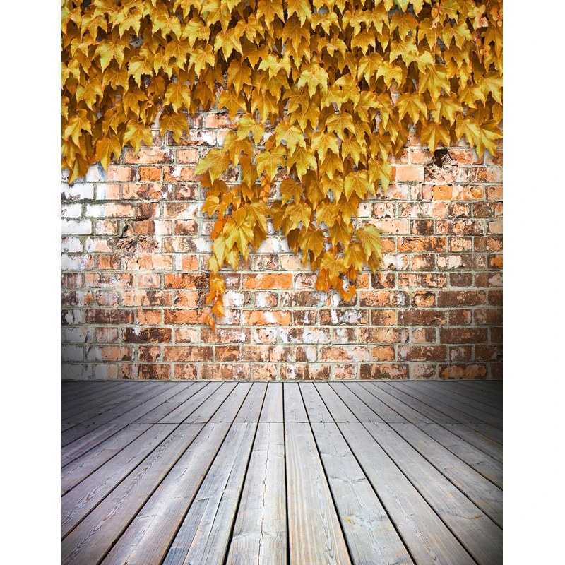 Life Magic Box Photography Backdrop Brick Wall Leaves Baby Ideas Studio Background S 2613 Background Aliexpress