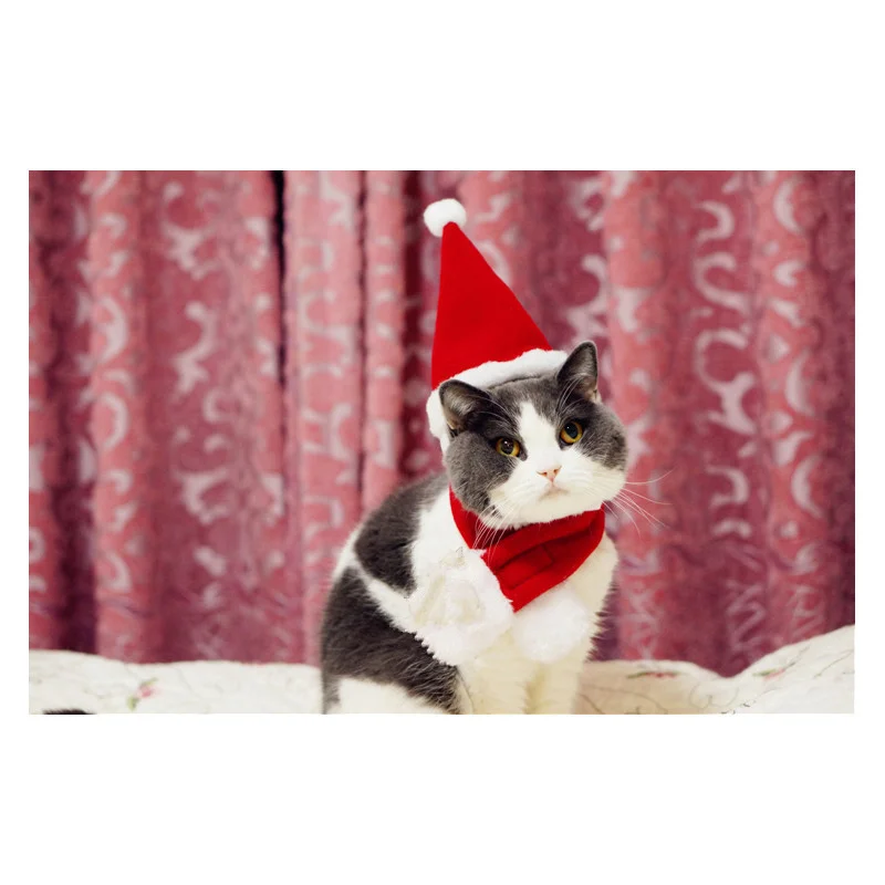 1 шт.,, костюмы для кошек разного размера, плащи, мантия, костюм с пряжкой, комплект одежды, товары для домашних животных, рождественские плащи для кошек, маленькая собака