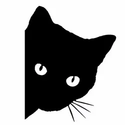 1 шт.. наклейка для шт. автомобиля s 3D мультфильм кошка наклейка автомобиль и мотоцикл царапины Чехлы реалистичный черный и белый цвет кошка