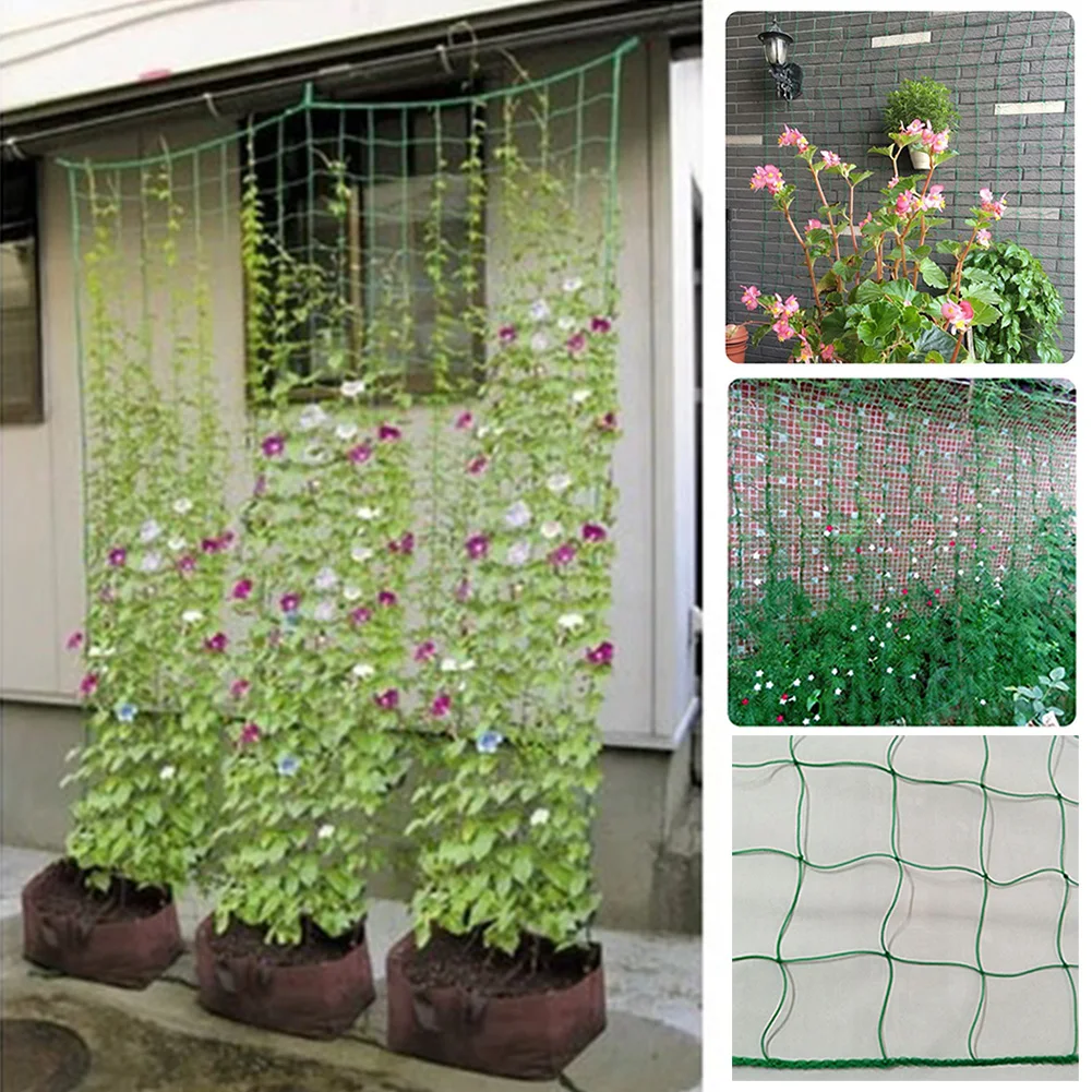 

Greenhouse Trellis Nylon Plant Protection Climbing Frame Fruits Bean Support Garden Netting Durable Vines Anti Bird Grow Fence