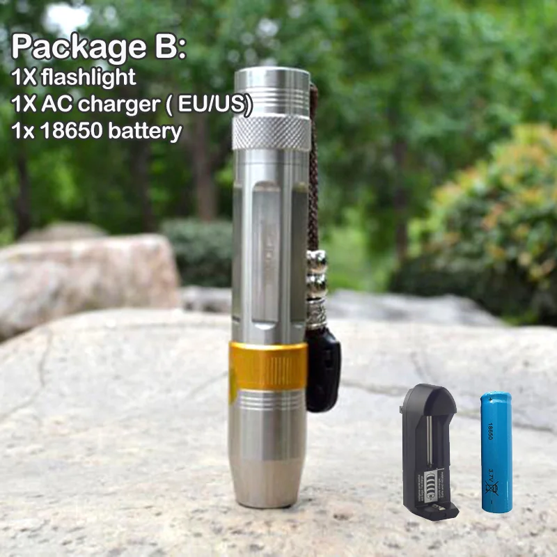 30W 365nm High Power UV Flashlight Black Light Cat Dog Urine Stain