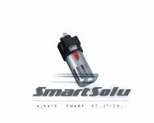 

1/4'' BF2000 Air Source Treatment Pneumatic Filtering Tool