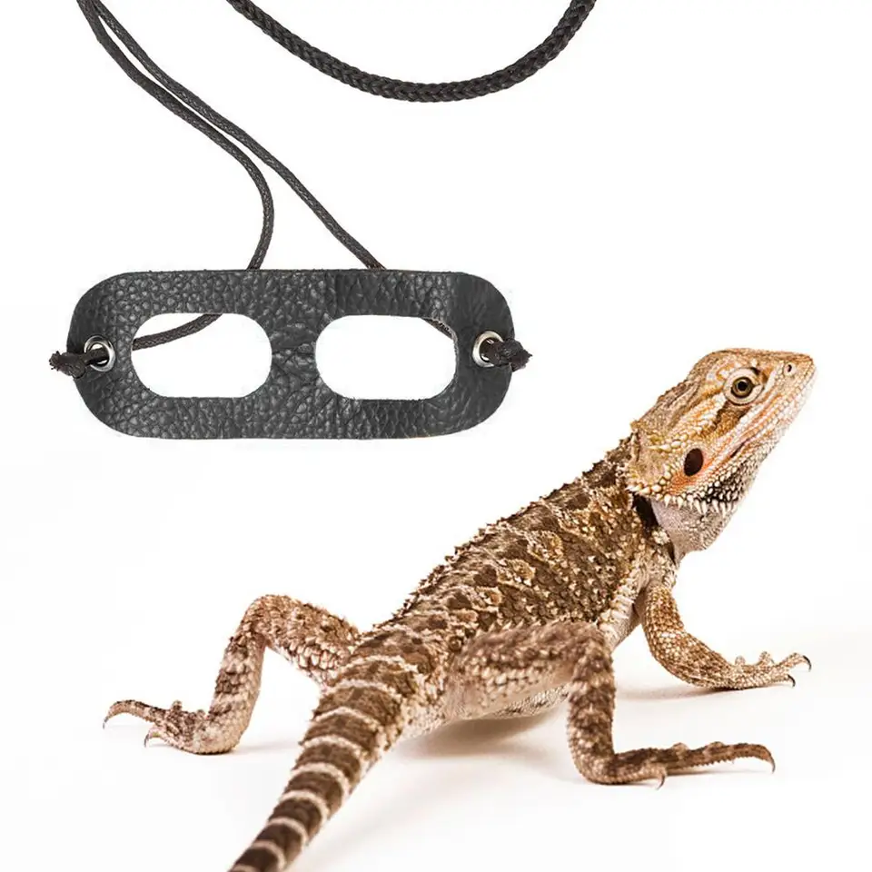 reptile harness