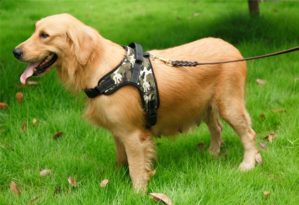 dog harness03
