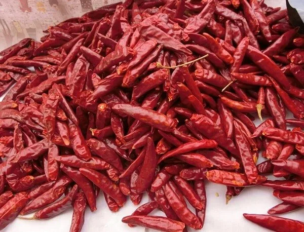 ]UE0YX7QDHJ9UDBLVGT~GKI